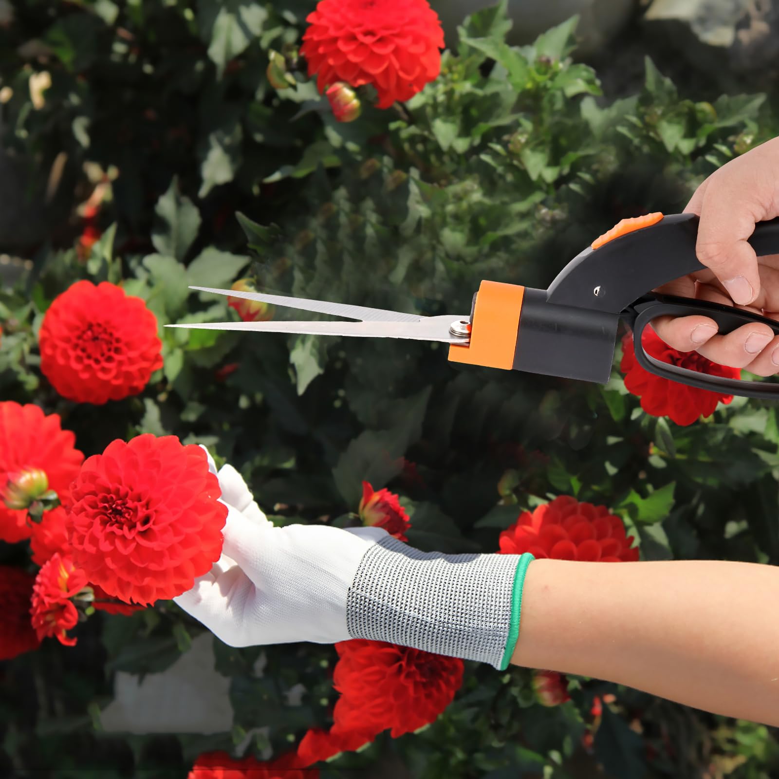 Amazon.com : Grass Shears Handheld Grass Clipper Cutter Plant